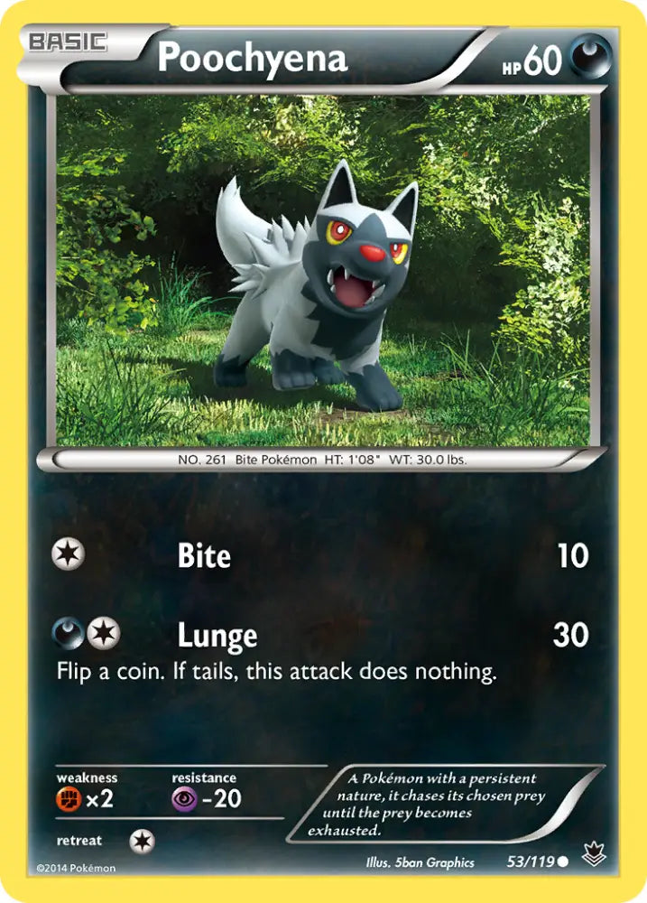 Poochyena (53/119) [XY: Phantom Forces] - Pokemon Single