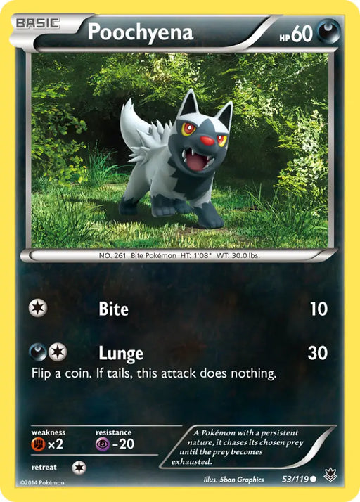 Poochyena (53/119) [XY: Phantom Forces] - Pokemon Single