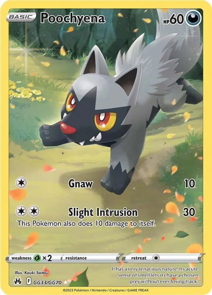 Poochyena (GG33/GG70) [Sword & Shield: Crown Zenith] - Pokemon Single