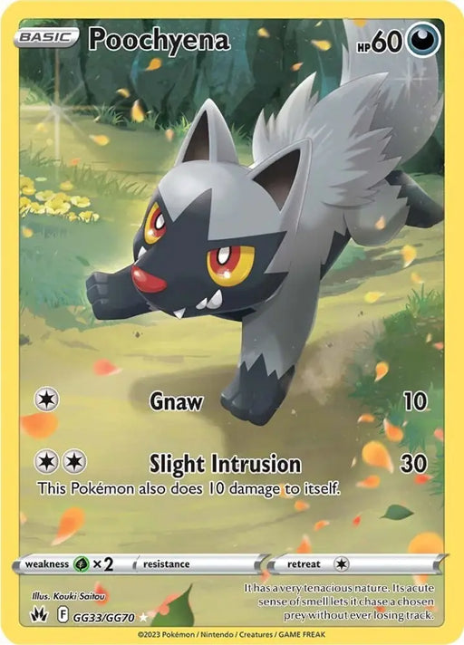 Poochyena (GG33/GG70) [Sword & Shield: Crown Zenith] - Pokemon Single