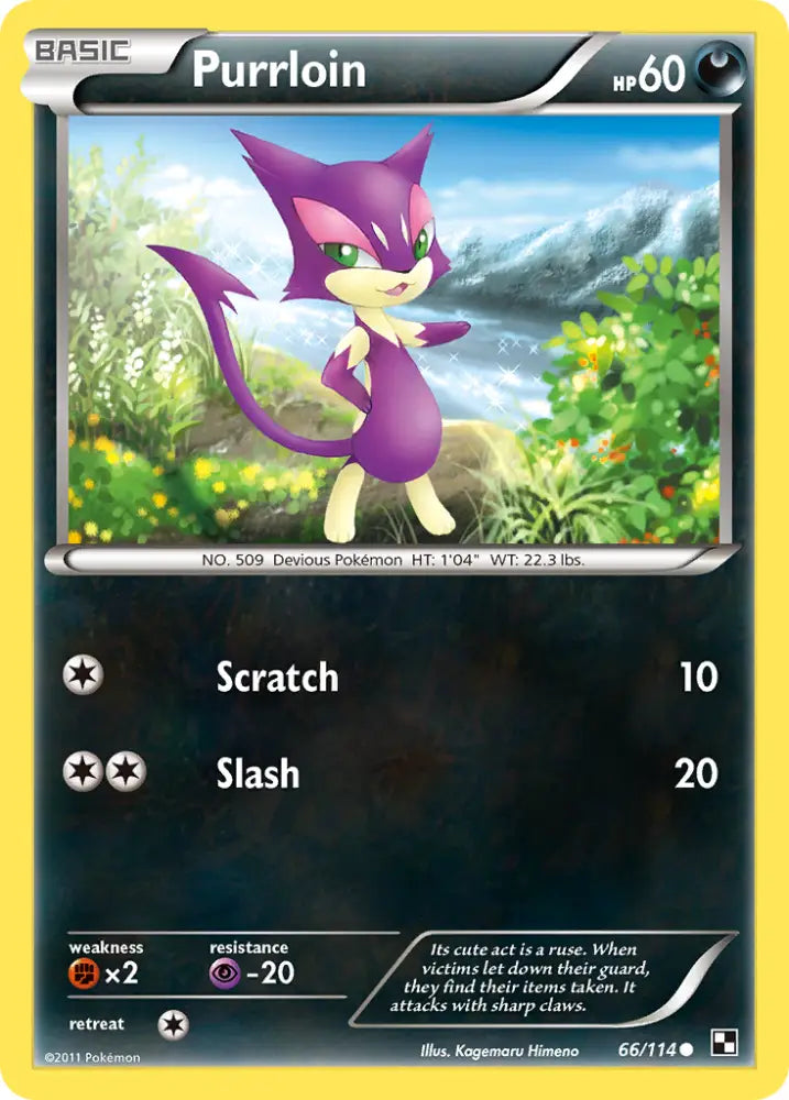 Purrloin (66/114) [Black & White: Base Set] - Pokemon Single