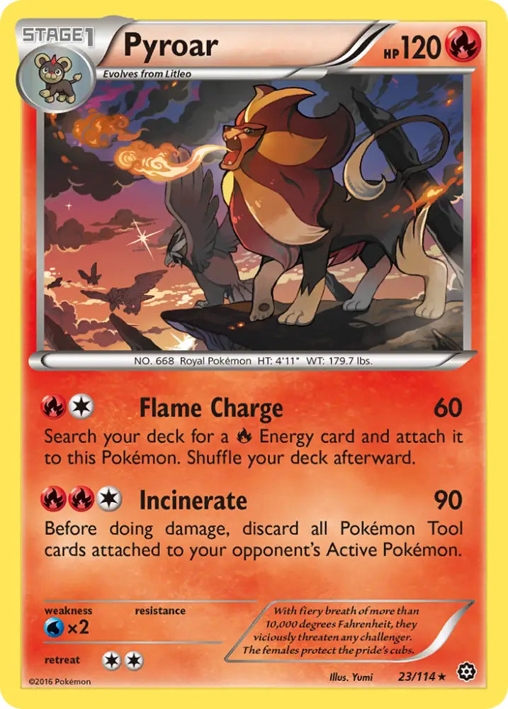 Pyroar (23/114) [XY: Steam Siege] - Pokemon Single
