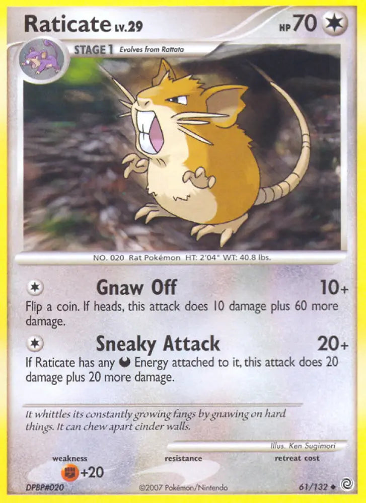 Raticate (61/132) [Diamond & Pearl: Secret Wonders] - Pokemon Single