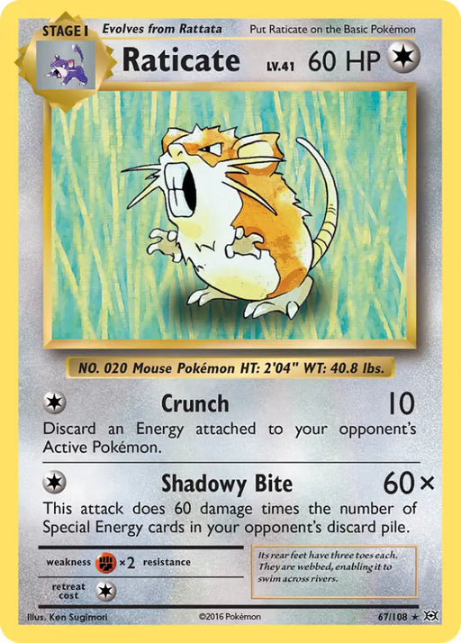 Raticate (67/108) [XY: Evolutions] - Pokemon Single