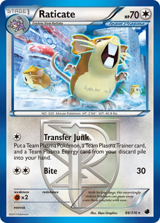 Raticate (88/116) [Black & White: Plasma Freeze] - Pokemon Single
