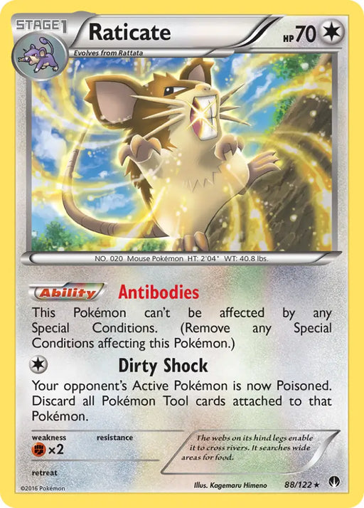 Raticate (88/122) [XY: BREAKpoint] - Pokemon Single