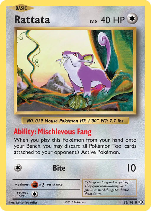 Rattata (66/108) [XY: Evolutions] - Pokemon Single
