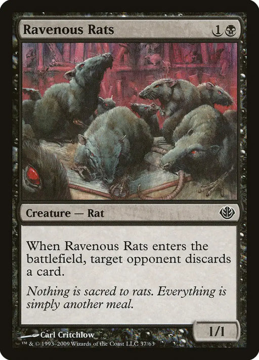 Ravenous Rats [Duel Decks: Garruk vs. Liliana] - MTG Single