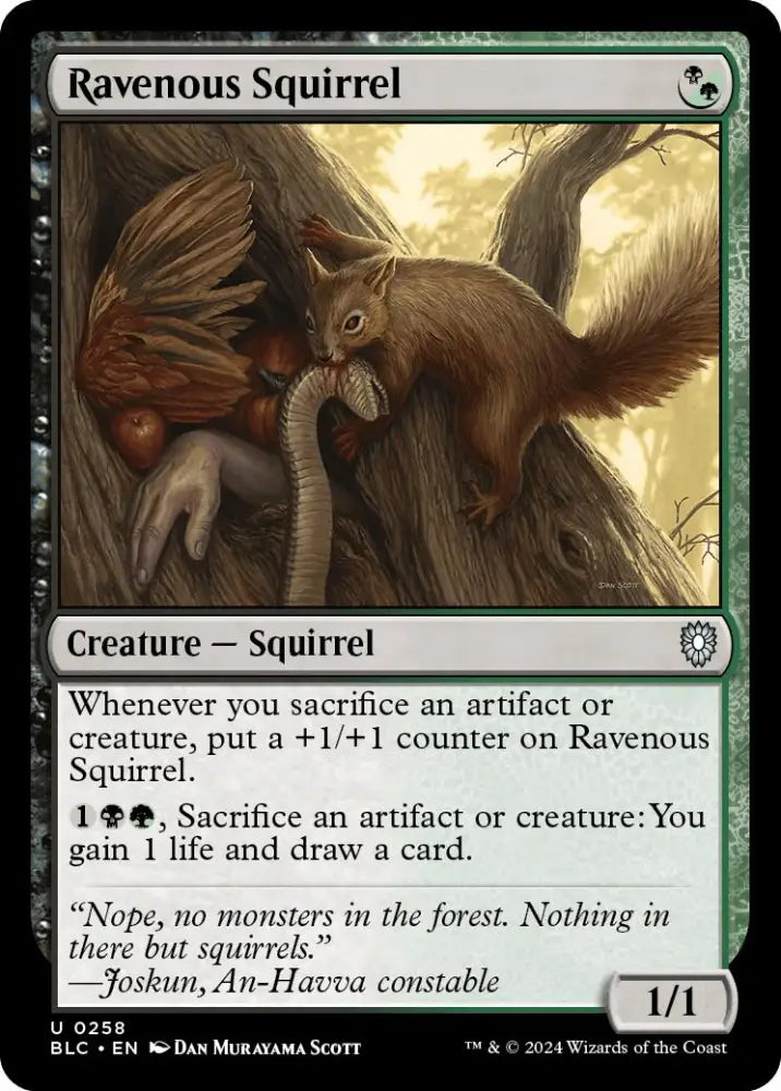 Ravenous Squirrel [Bloomburrow Commander] - MTG Single