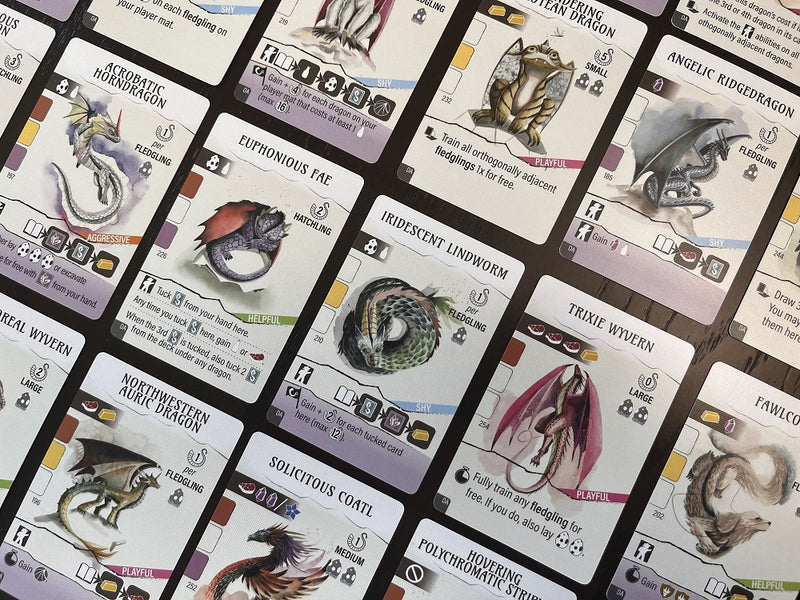 Wyrmspan Dragon Academy Expansion (EN)