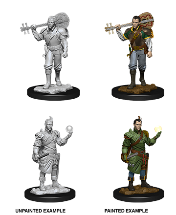 DND Unpainted Minis WV12 Barde demi-elfe mâle