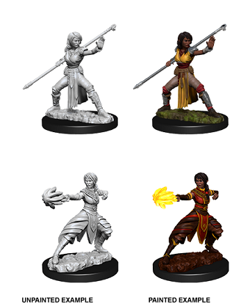DND Unpainted Minis WV10 Moine demi-elfe féminin