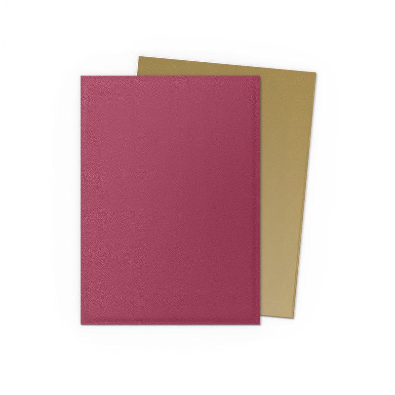 Dragon Shield Sleeves Dual Matte Special Anniversary Edition Red/Gold 100ct