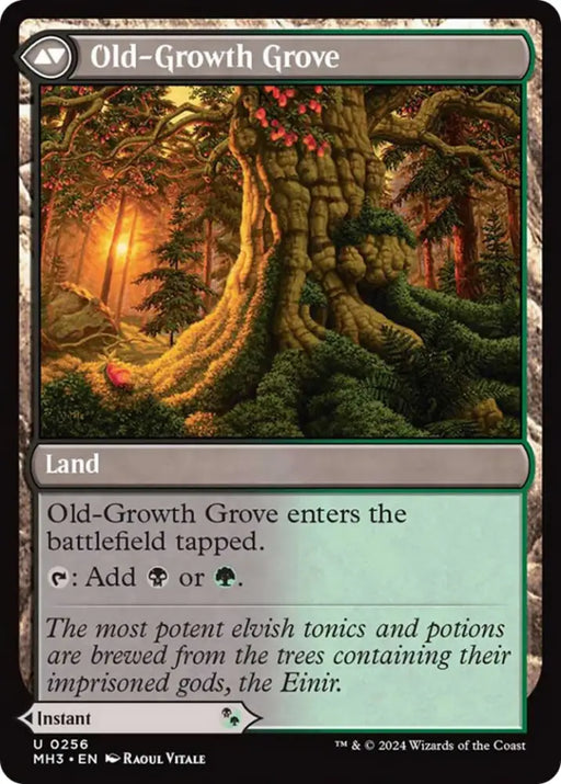 Revitalizing Repast // Old-Growth Grove [Modern Horizons 3] - MTG Single