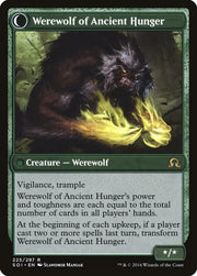 Sage of Ancient Lore // Werewolf of Ancient Hunger [Shadows over Innistrad] - MTG Single