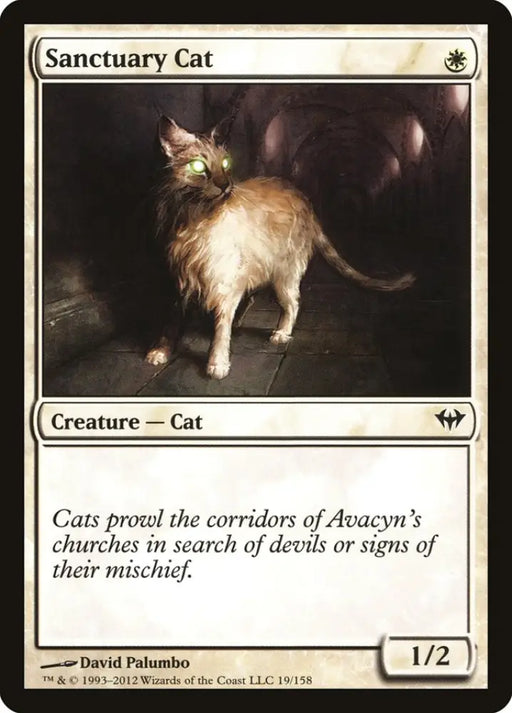 Sanctuary Cat [Dark Ascension] - MTG Single
