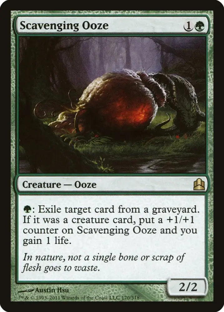 Scavenging Ooze [Commander 2011] - MTG Single