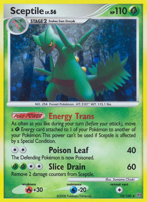 Sceptile (10/100) [Diamond & Pearl: Stormfront] - Pokemon Single