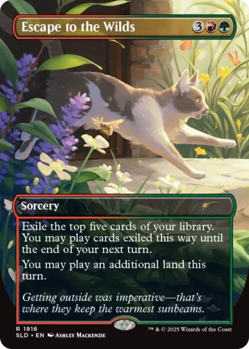 Secret Lair Cats Are Better Than Dogs - Magic: The Gathering Sealed