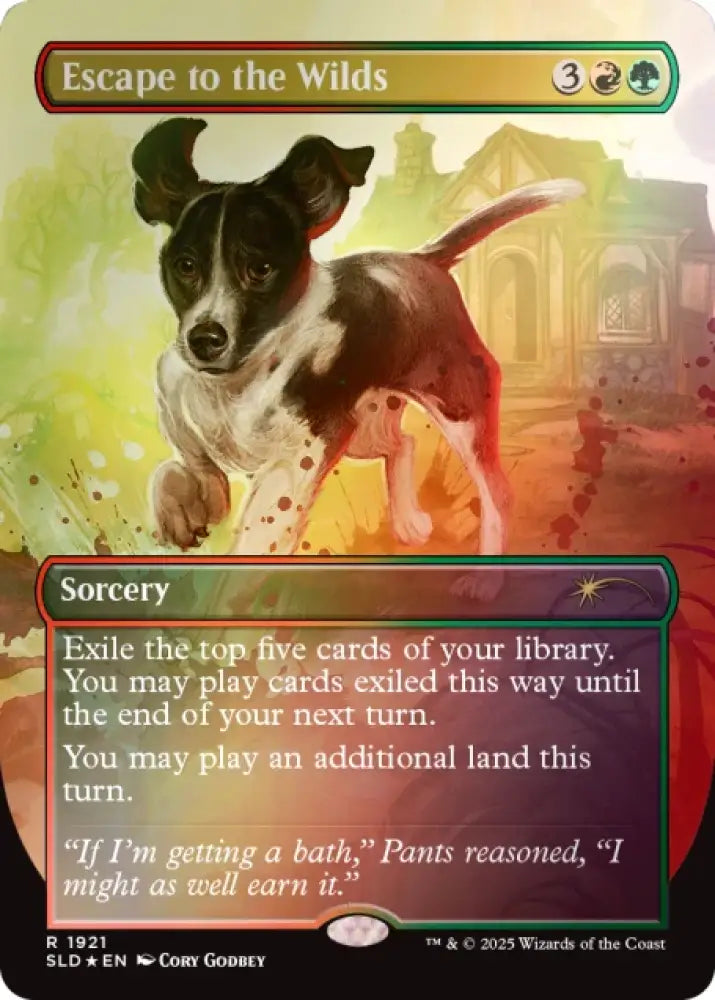 Secret Lair Dogs Are Better Than Cats Rainbow Foil Edition - Magic: The Gathering Sealed