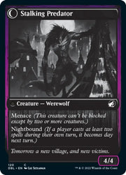 Shady Traveler // Stalking Predator [Innistrad: Double Feature] - MTG Single