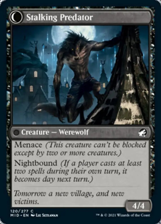 Shady Traveler // Stalking Predator [Innistrad: Midnight Hunt] - MTG Single