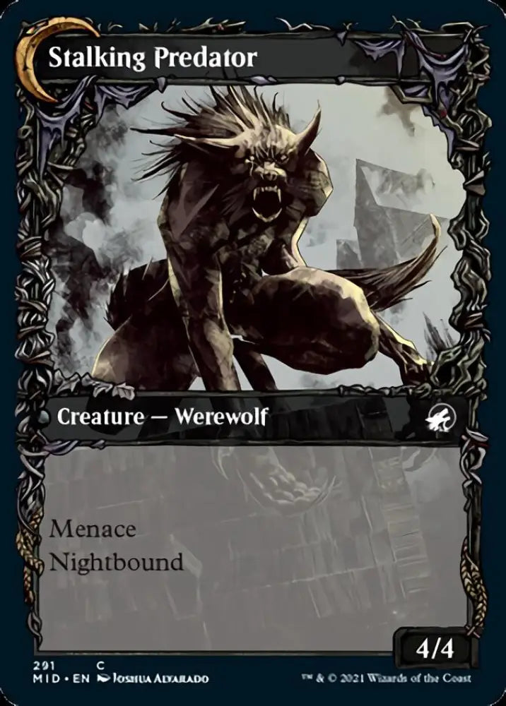 Shady Traveler // Stalking Predator (Showcase Equinox) [Innistrad: Midnight Hunt] - MTG Single