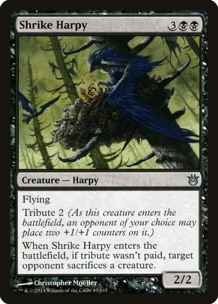 Shrike Harpy [Born of the Gods] - MTG Single