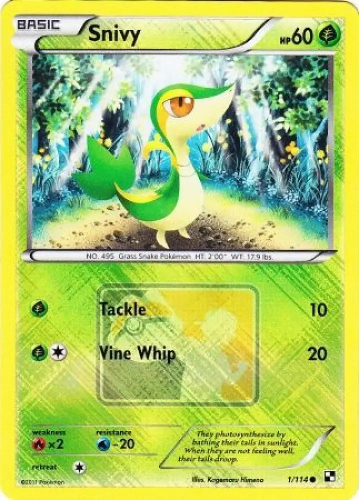 Snivy (1/114) (League Promo) [Black & White: Base Set] - Pokemon Single