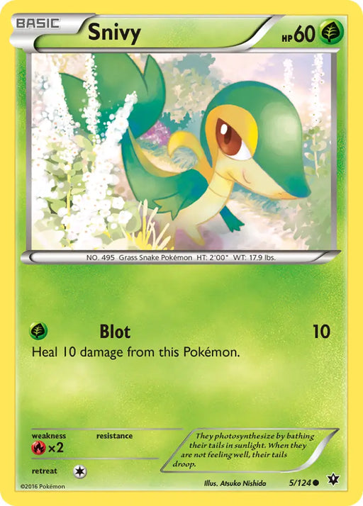 Snivy (5/124) [XY: Fates Collide] - Pokemon Single