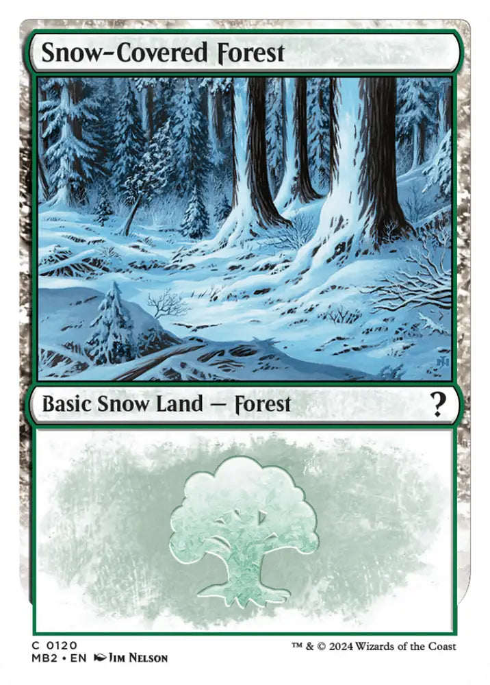 Snow-Covered Forest (White Border) [Mystery Booster 2] - MTG Single