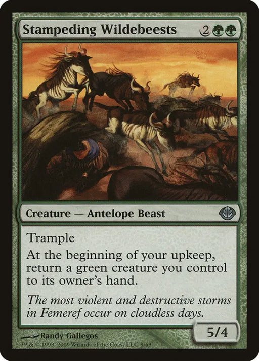 Stampeding Wildebeests [Duel Decks: Garruk vs. Liliana] - MTG Single