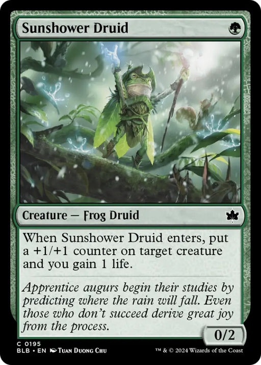 Sunshower Druid [Bloomburrow] - MTG Single
