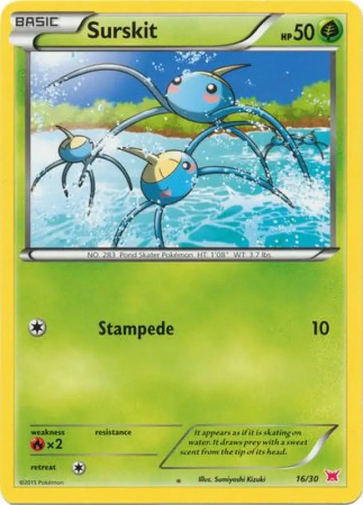 Surskit (16/30) [XY: Trainer Kit 2 - Latias] - Pokemon Single