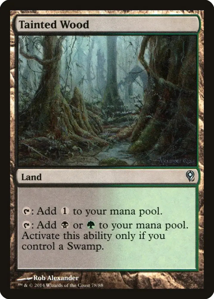 Tainted Wood [Duel Decks: Jace vs. Vraska] - MTG Single