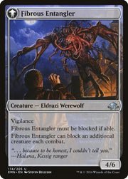 Tangleclaw Werewolf // Fibrous Entangler [Eldritch Moon] - MTG Single