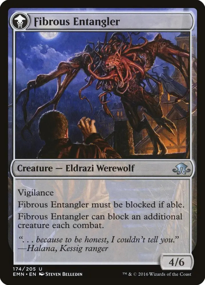 Tangleclaw Werewolf // Fibrous Entangler [Eldritch Moon] - MTG Single
