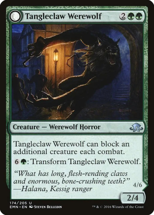 Tangleclaw Werewolf // Fibrous Entangler [Eldritch Moon] - MTG Single