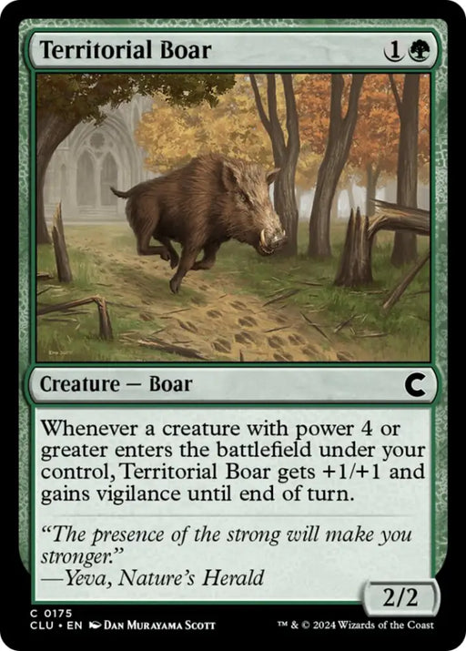 Territorial Boar [Ravnica: Clue Edition] - MTG Single