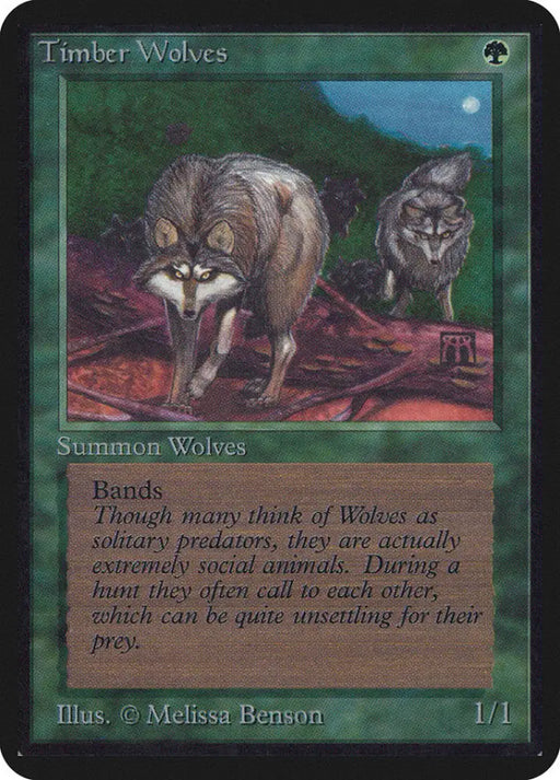 Timber Wolves [Alpha Edition] - MTG Single