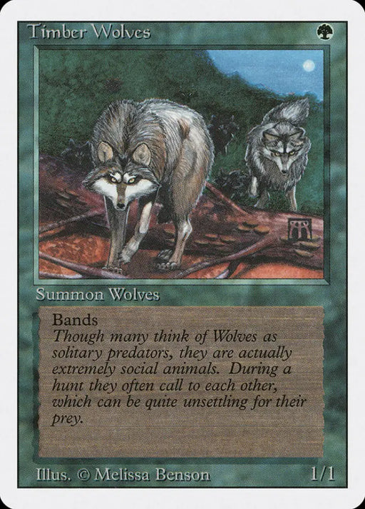 Timber Wolves [Revised Edition] - MTG Single