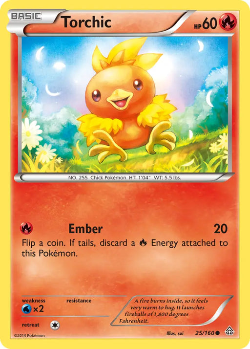 Torchic (25/160) [XY: Primal Clash] - Pokemon Single