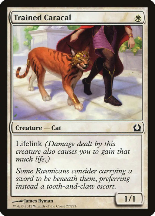 Trained Caracal [Return to Ravnica] - MTG Single