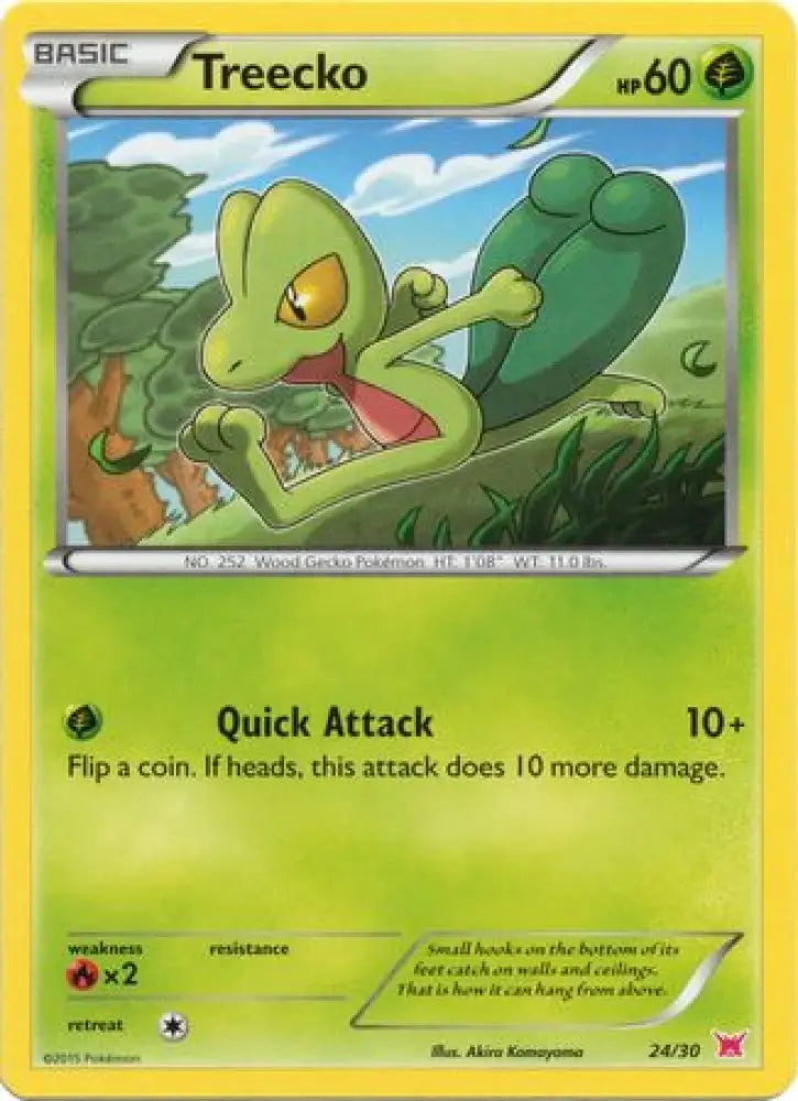 Treecko (24/30) [XY: Trainer Kit 2 - Latias] - Pokemon Single