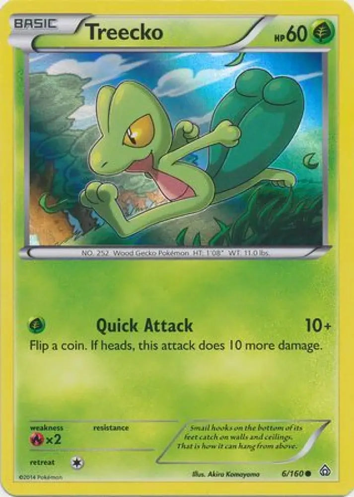 Treecko (6/160) (Sheen Holo) [XY: Primal Clash] - Pokemon Single