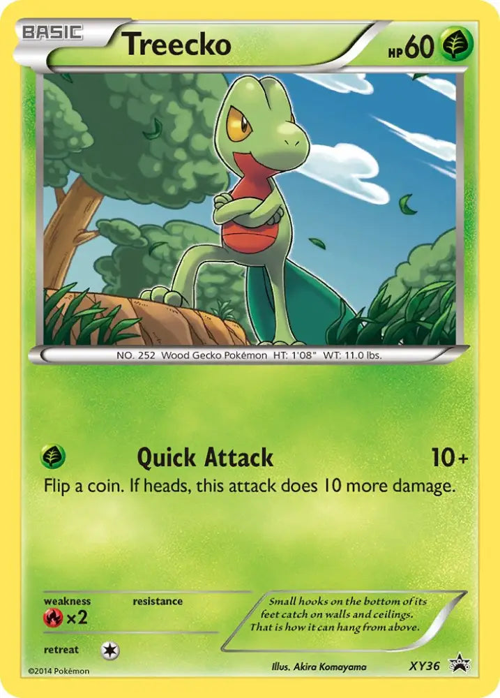 Treecko (XY36) [XY: Black Star Promos] - Pokemon Single
