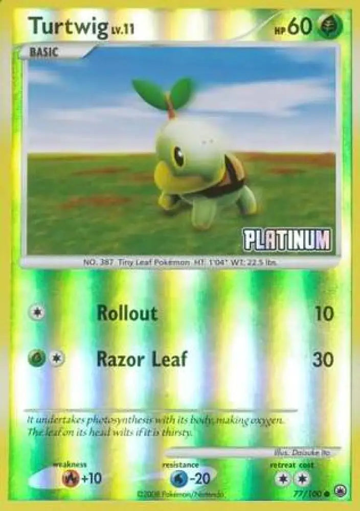 Turtwig (77/100) [Burger King Promos: 2009 Collection] - Pokemon Single