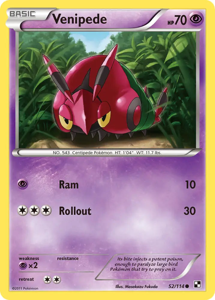 Venipede (52/114) [Black & White: Base Set] - Pokemon Single
