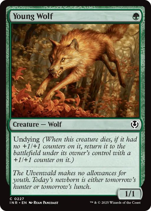 Young Wolf [Innistrad Remastered] - MTG Single