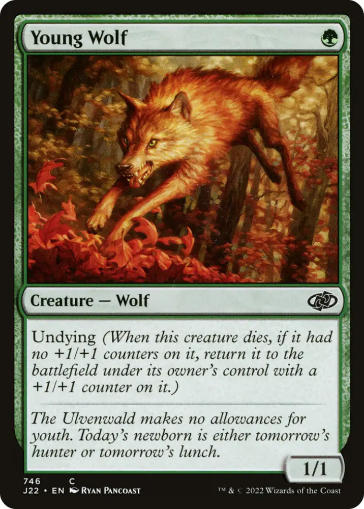Young Wolf [Jumpstart 2022] - MTG Single